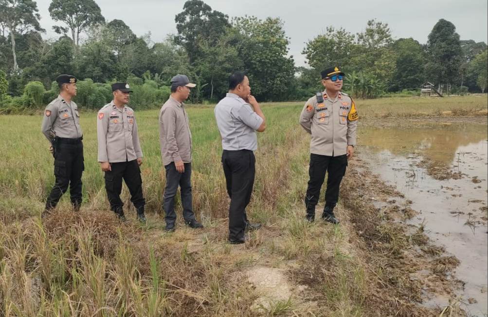 Polsek Sanga Desa Siapkan Lahan Sawah 141 Hektar, Dukung Program Presiden Prabowo Subianto