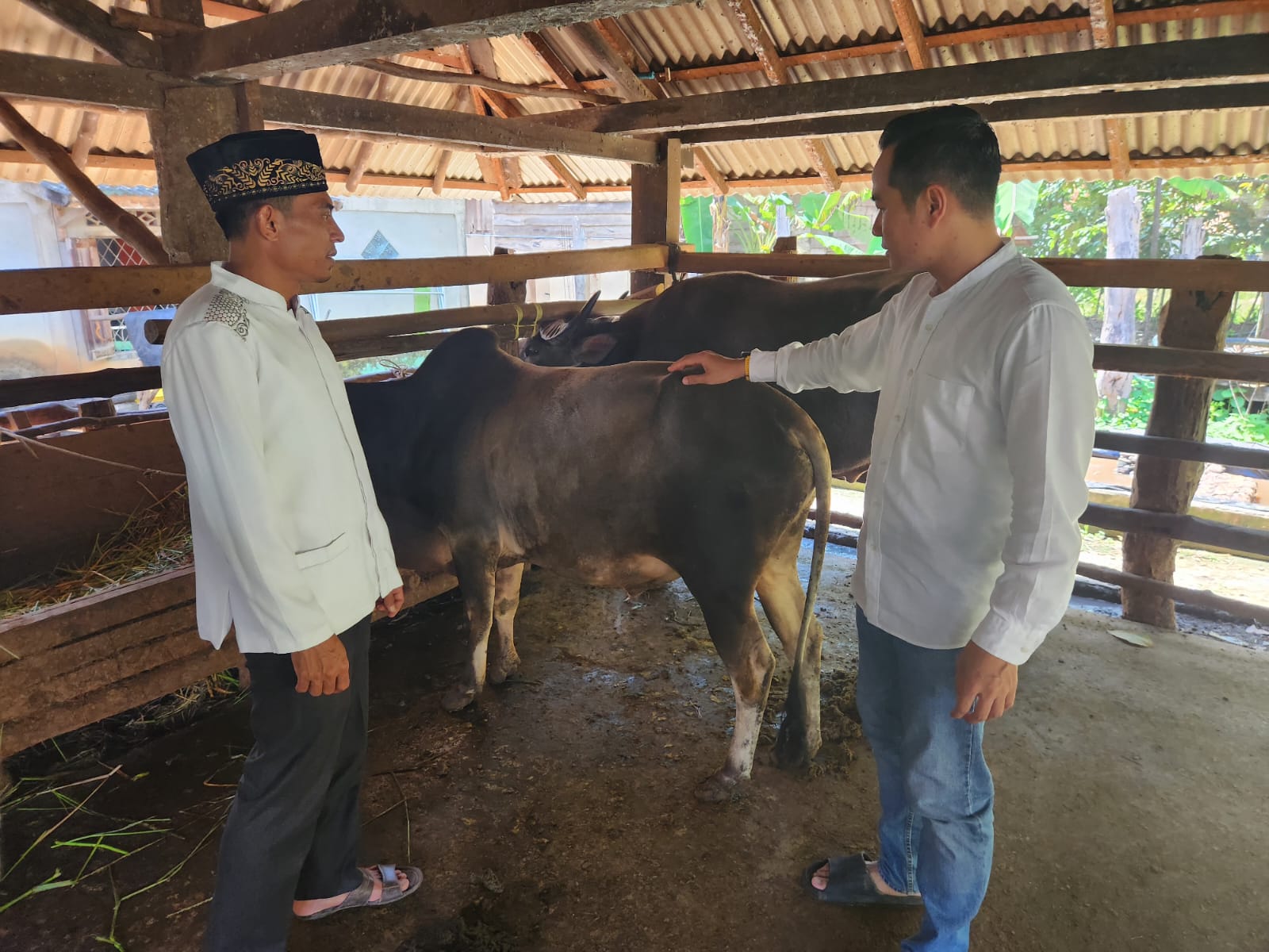 Ikut Menjaga Swasembada Daging, Ini yang Dilakukan Subdit Indagsi Ditreskrimsus Polda Sumsel 