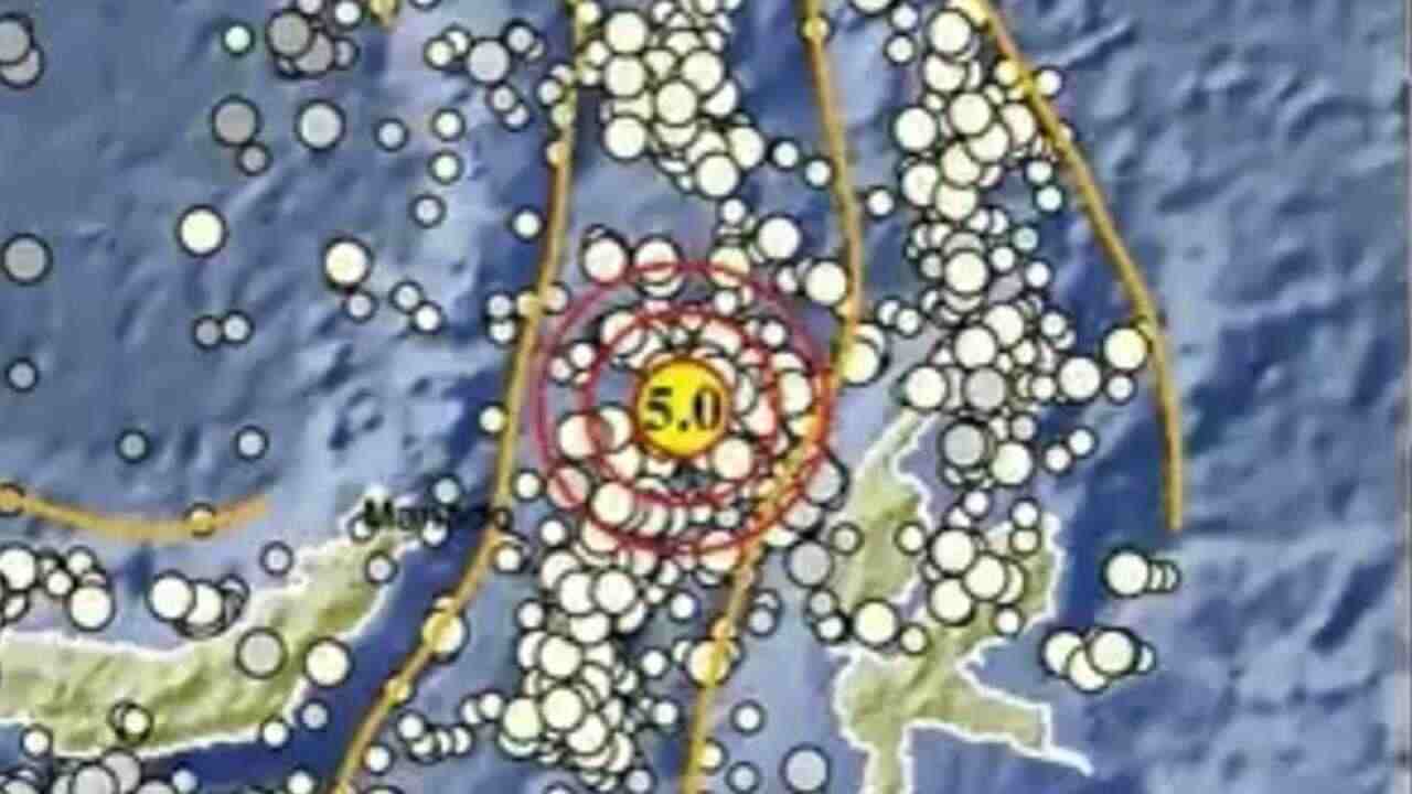 Update BMKG, Pagi Ini Gempa 5.0 Magnitudo Guncang Halmahera Barat Maluku Utara, Cek Episentrumnya