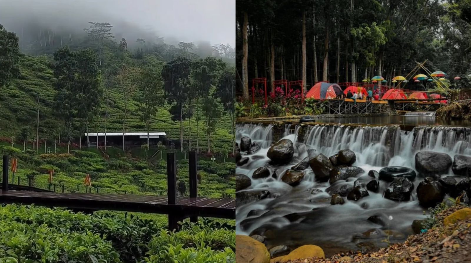 7 Rekomendasi Wisata Hits di Jember, Jadi Tempat Healing Saat Lebaran Paling Pass