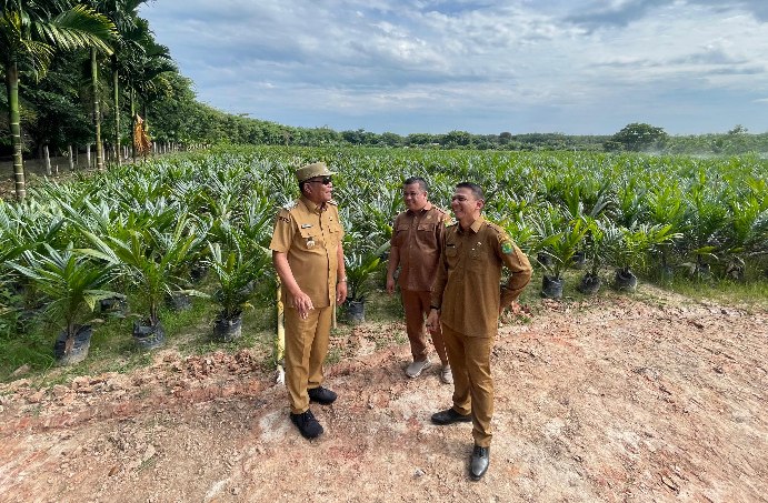 Bupati Muba Beri Diskon 50 Persen Sewa Alat Berat untuk Pembukaan Lahan