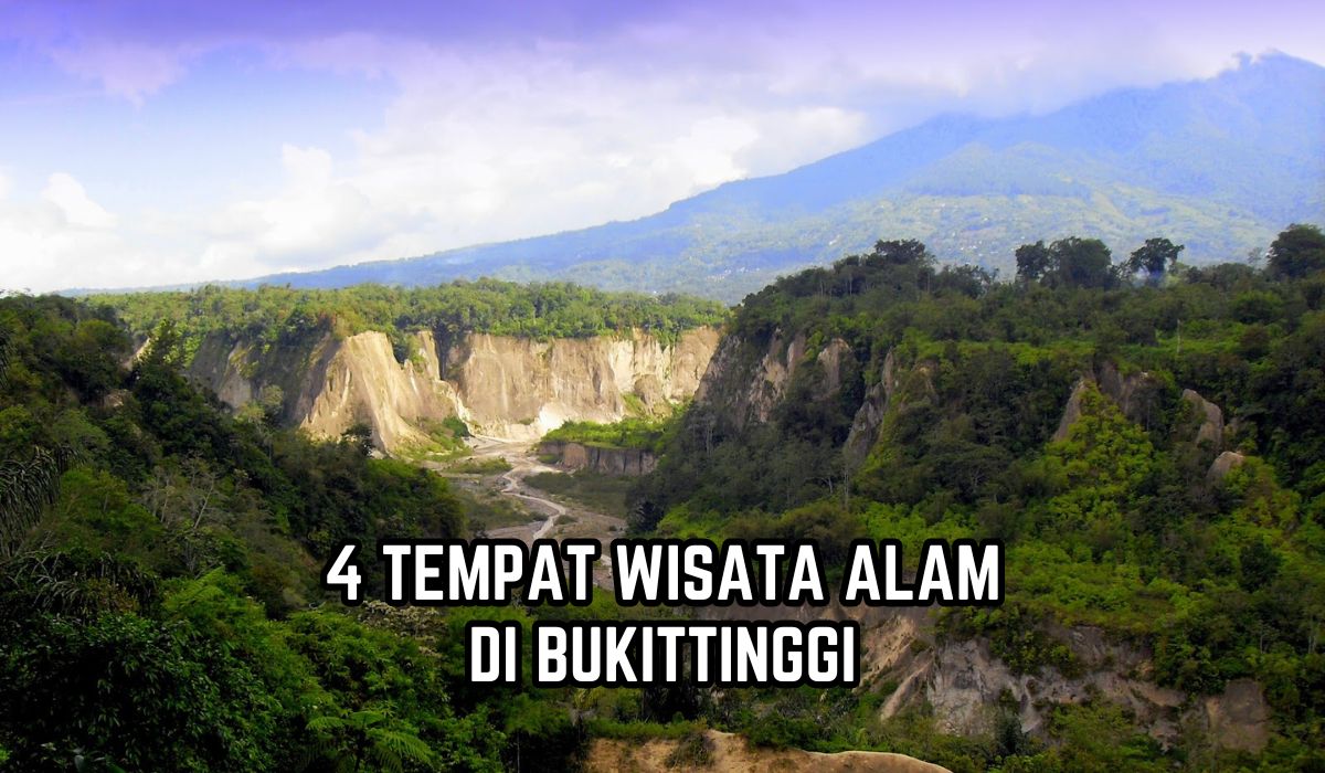 Pilihan Sempurna Liburan Akhir Tahun, Ini 4 Tempat Wisata Alam di Bukittinggi, Bisa Lihat Flora Langka