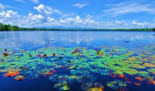 Menyimpan Banyak Mitos, Wisata Alam Danau Dendam Tak Sudah di Bengkulu, Bikin Penasaran?