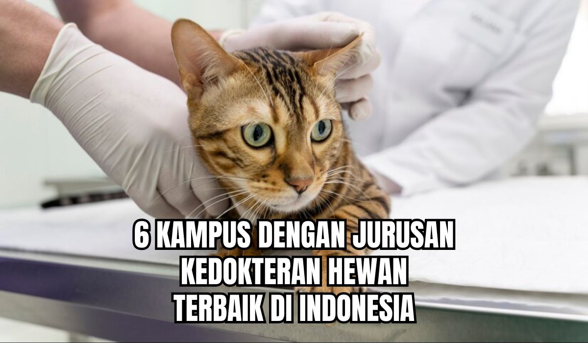 Pecinta Hewan Merapat! Ini 6 Kampus dengan Jurusan Kedokteran Hewan Terbaik di Indonesia, Akreditasi A!