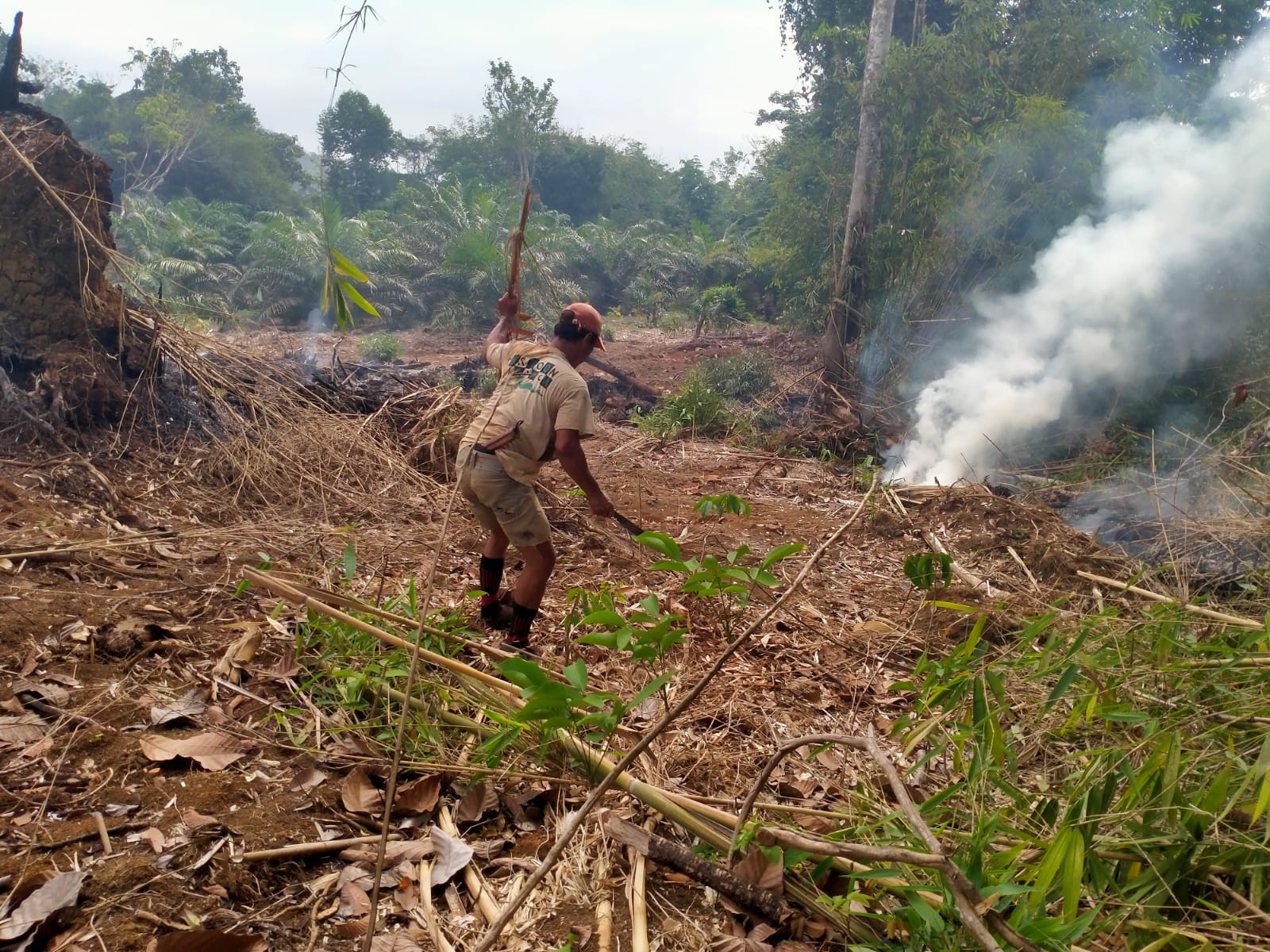 Sumsel Catat 394 Kasus Karhutla, Titik Panas Alami Penurunan