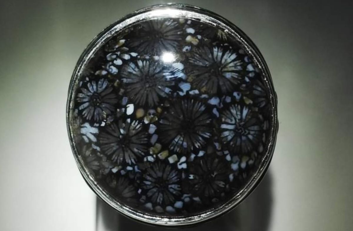 Pesona Batu Akik Teratai Hitam Muratara, Paling Langka dan Sulit Ditemui