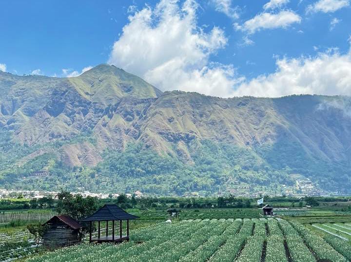 Liburan Akhir Tahun di Magelang, Rasakan Nuansa Luar Negeri yang Memanjakan Mata!