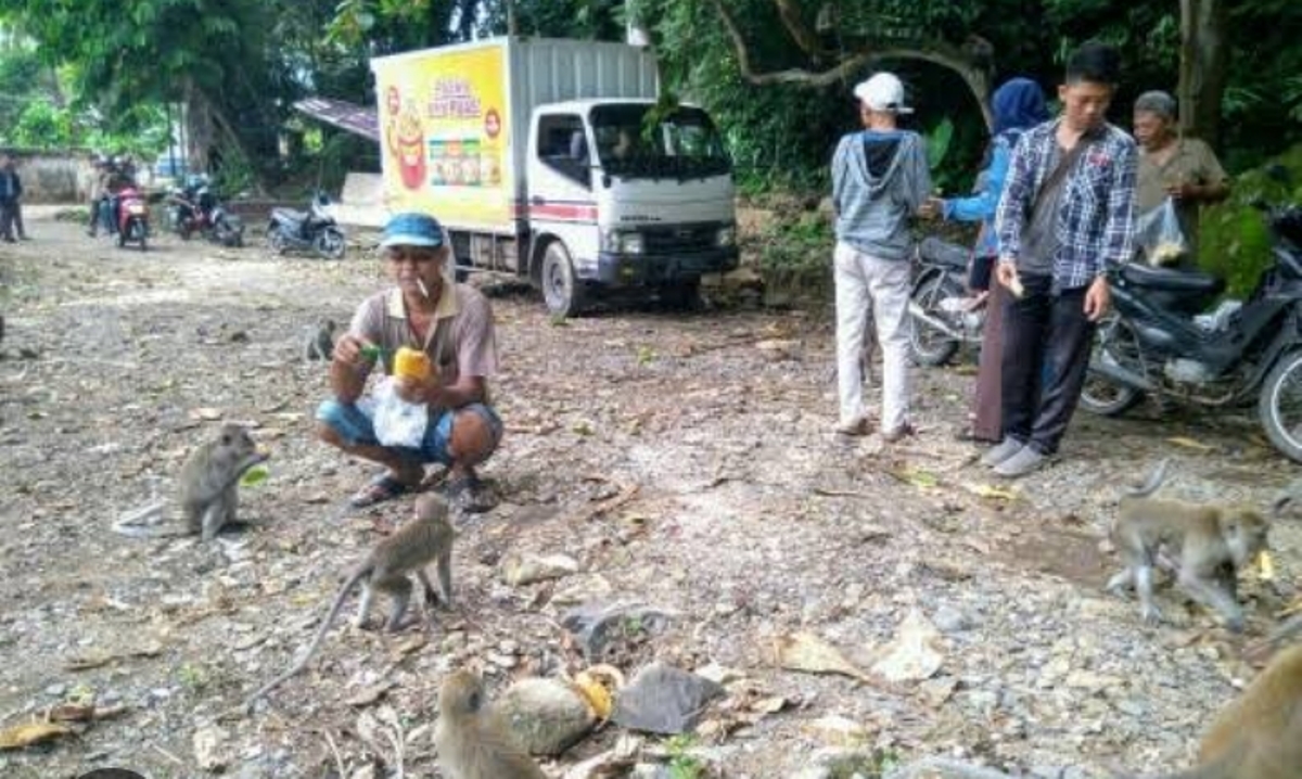 Kampung Unik di Jawa Tengah, Warganya Hidup Berdampingan dengan Kawanan Kera Liar, Kok Bisa?