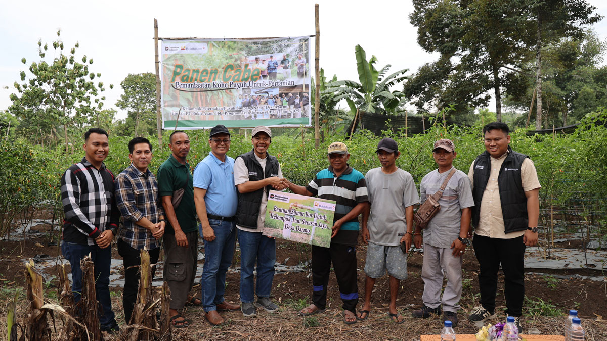 Transformasi PETI 2025: PTBA Sukses Dorong Kemandirian Petani Puyuh dan Cabai di Desa Darmo