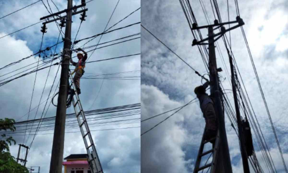 PLN Icon Plus SBU Regional Sumbagsel Rapikan Kabel di Bengkulu dan Sumsel
