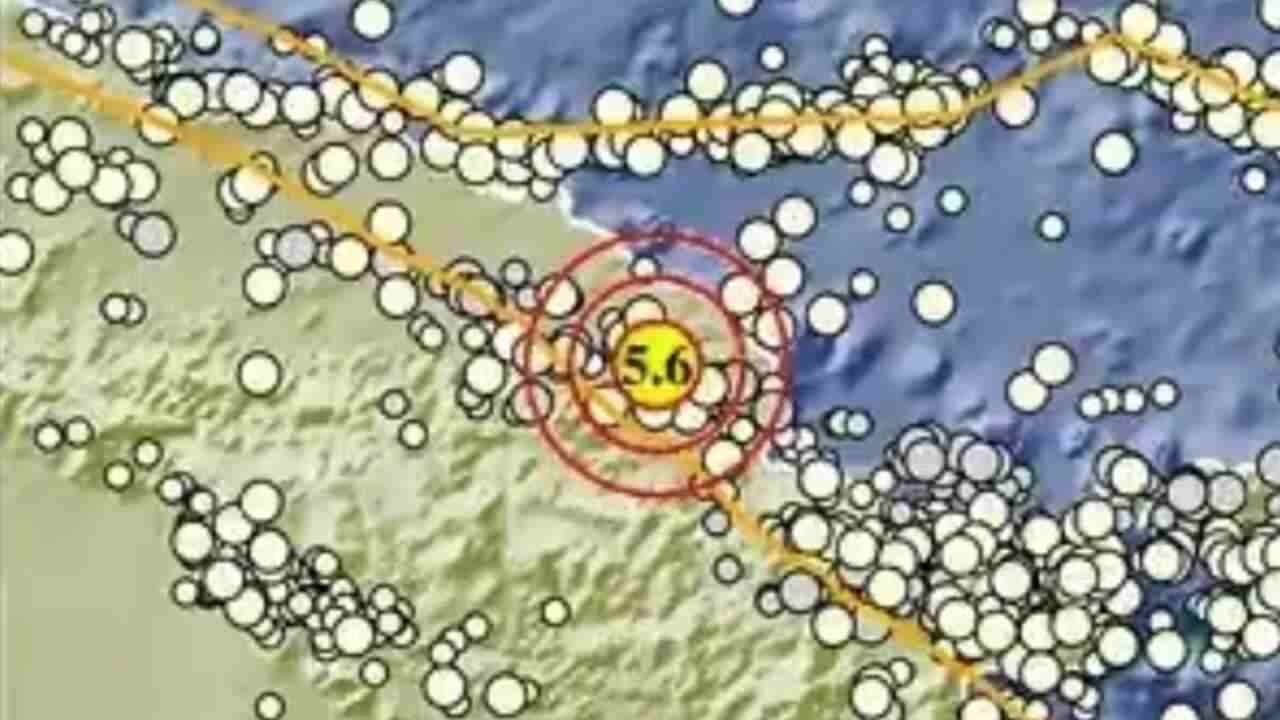 Rangkaian Gempa Dinihari di Indonesia: Papua Terkuat, Capai Magnitudo 5,6!