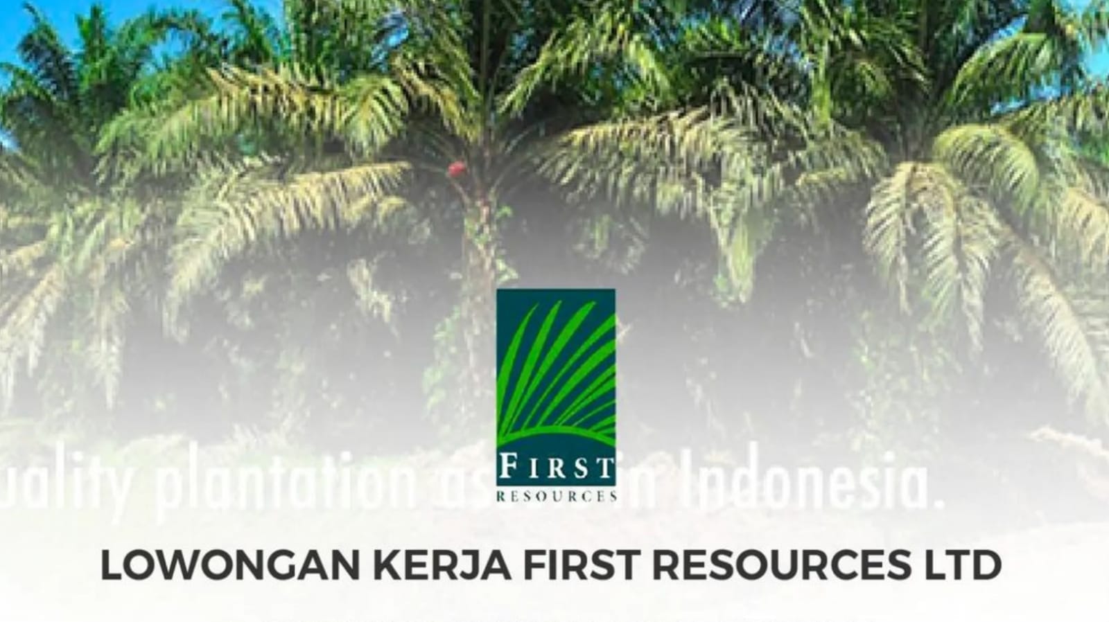 8 Lowongan Kerja Terbaru First Resources Group Ltd Produsen Minyak Sawit Terbesar Kalimantan Daftar Di Sini