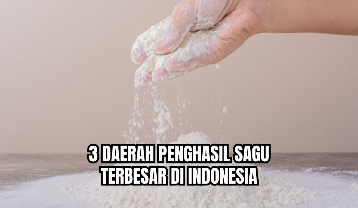 3  Daerah Penghasil Sagu Terbesar di Indonesia, Nomor 1 Ternyata Bukan Papua, Lalu Kota Apa?