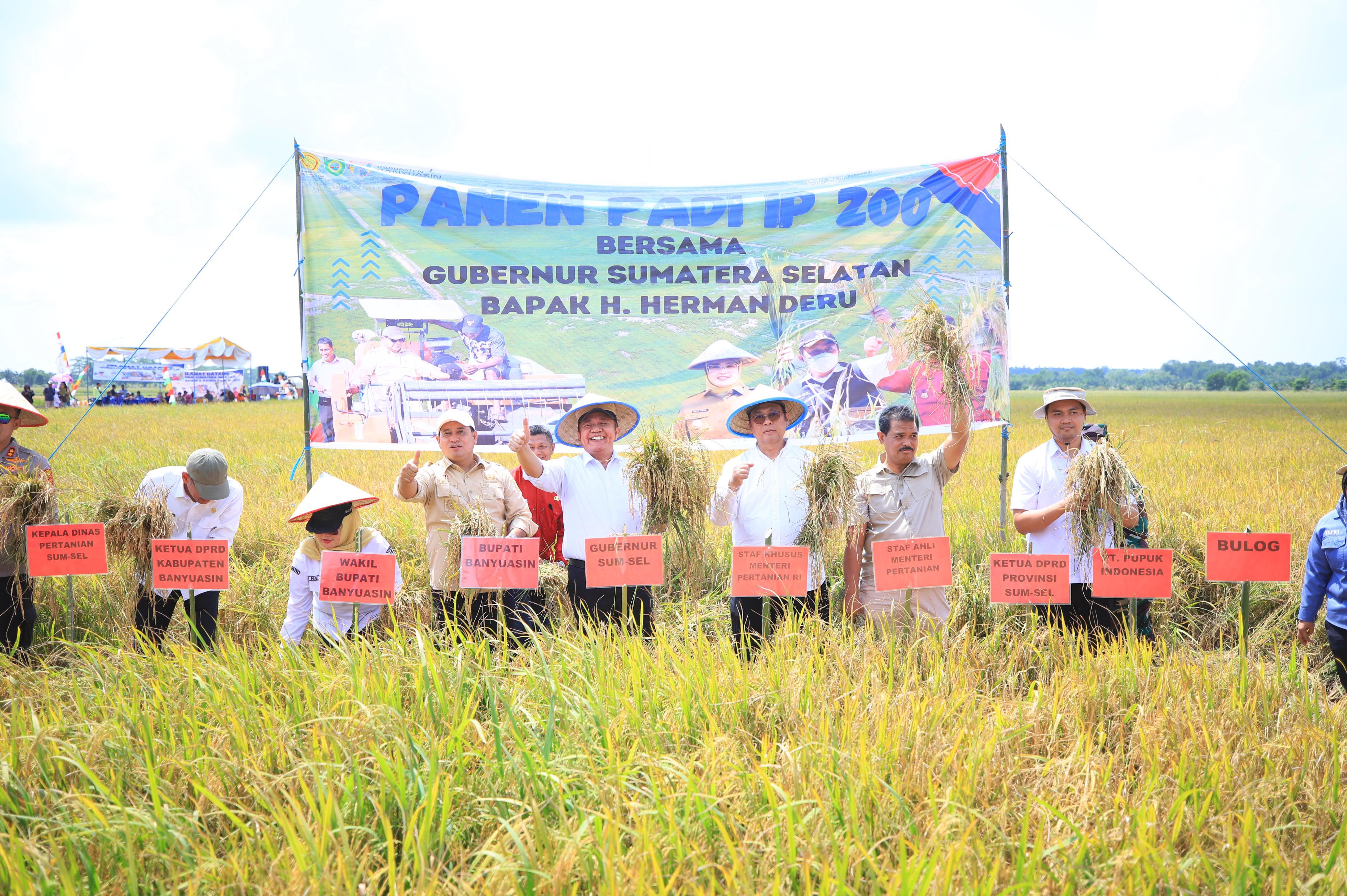 Wujud Nyata Mandiri Pangan di Sumsel, Panen IP 200 Banyuasin Tembus 8 Ton per Hektar