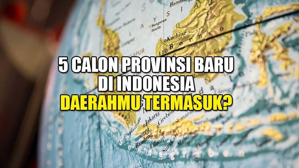 Inilah 5 Calon Provinsi Baru di Indonesia, Ada Papua Utara, Daerahmu Termasuk?