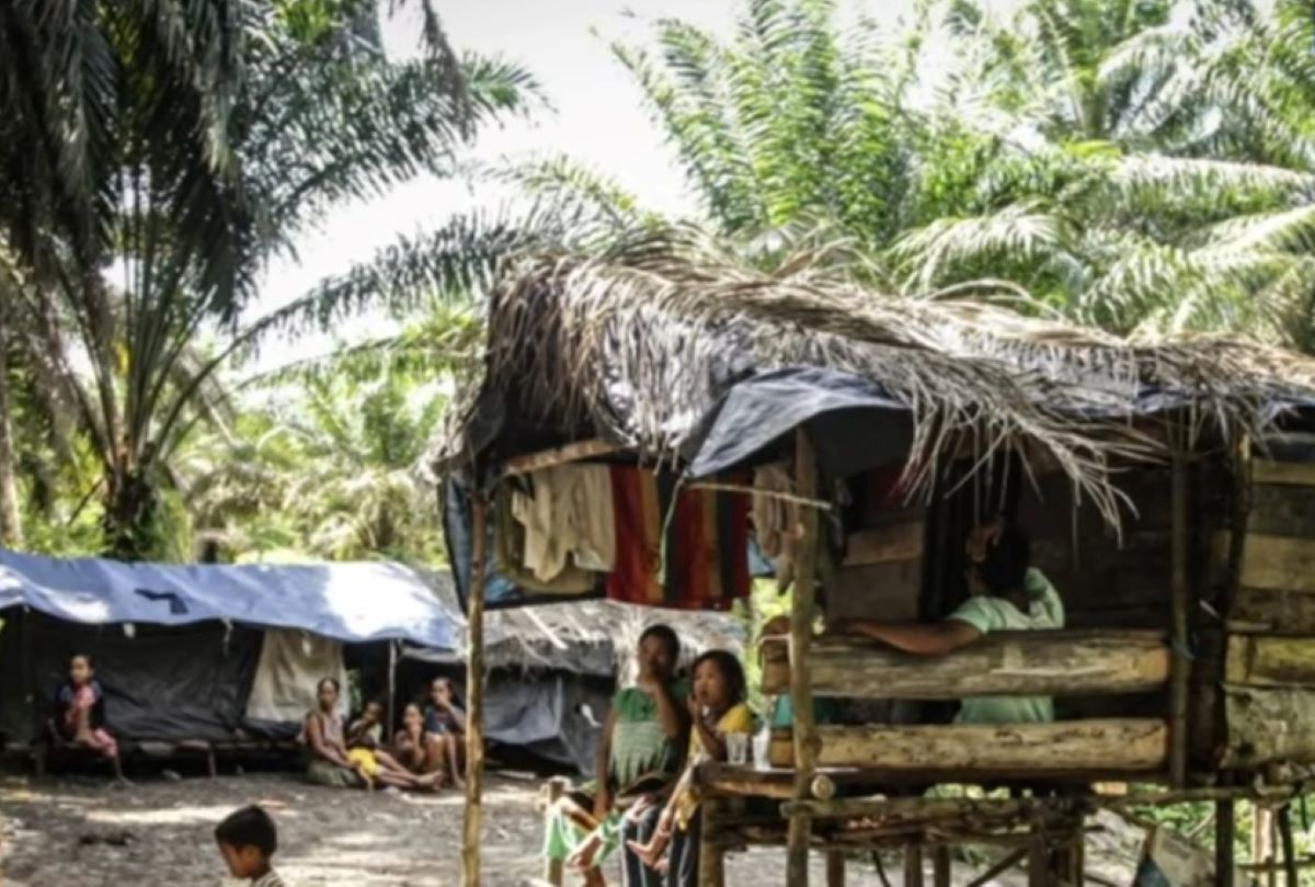 Mengenal Kebiasaan Unik Suku Anak Dalam di Jambi, Suka Berpindah-pindah dan Berburu Hewan Liar