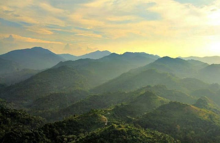 NGERI SEKALI! 5 Hutan Paling Angker Di Pulau Sumatera, Nomer 2 Ada Di Sumatera Selatan