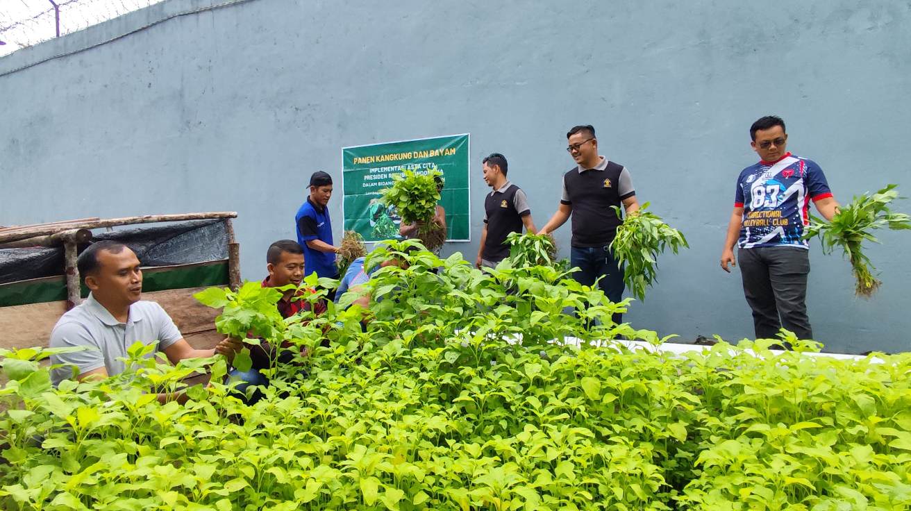Lapas Sekayu Kembali Panen Kangkung dan Bayam, Bentuk Keterampilan Warga Binaan