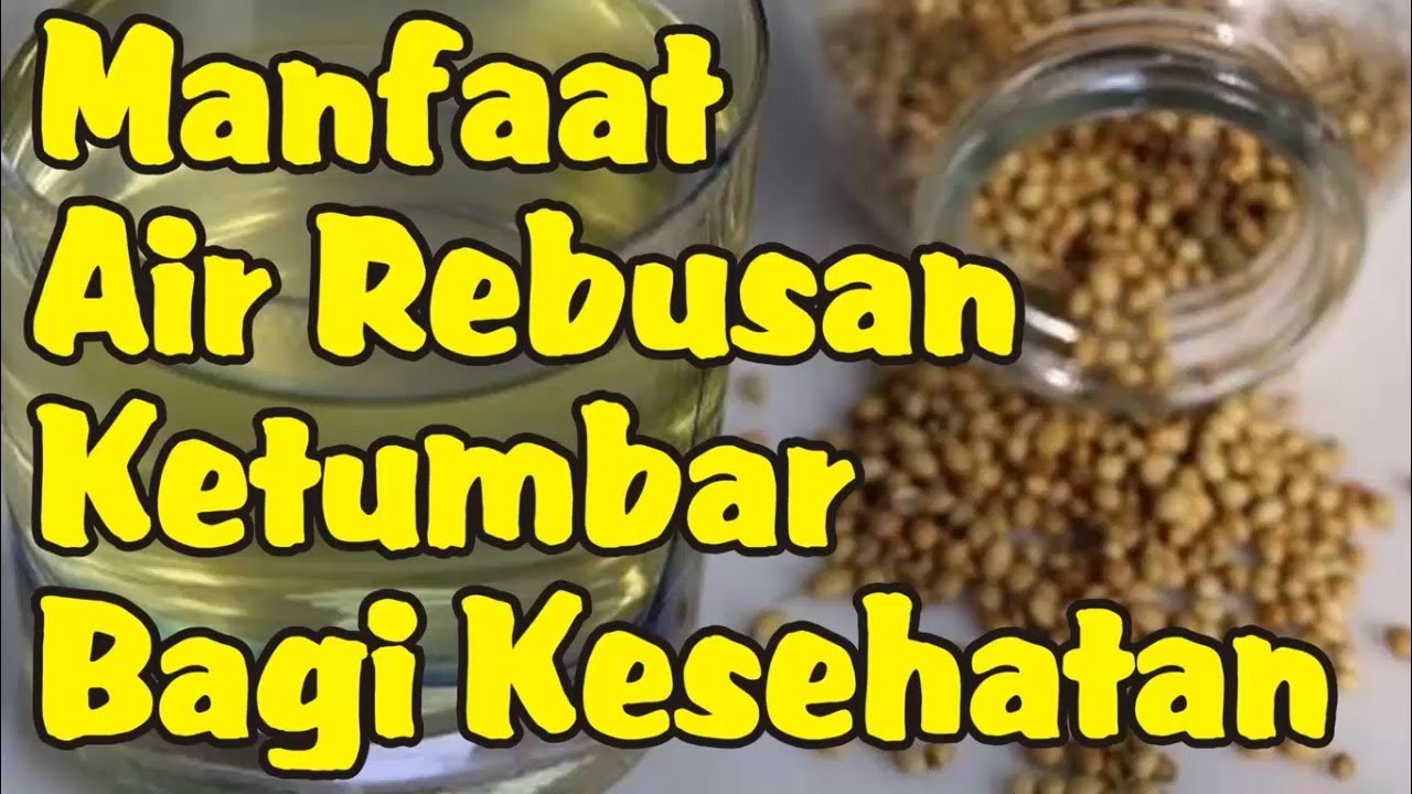 Kecil-kecil Banyak Nutrisi! Ini 7 Khasiat Minum Air Rebusan Ketumbar Sebelum Tidur Bagi Kesehatan