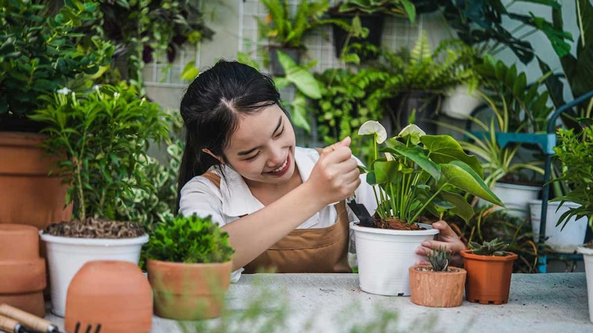 Melihat Hijau, Merasa Bahagia! Ini 8 Manfaat Tanaman Hias untuk Kesehatan Mental Anda