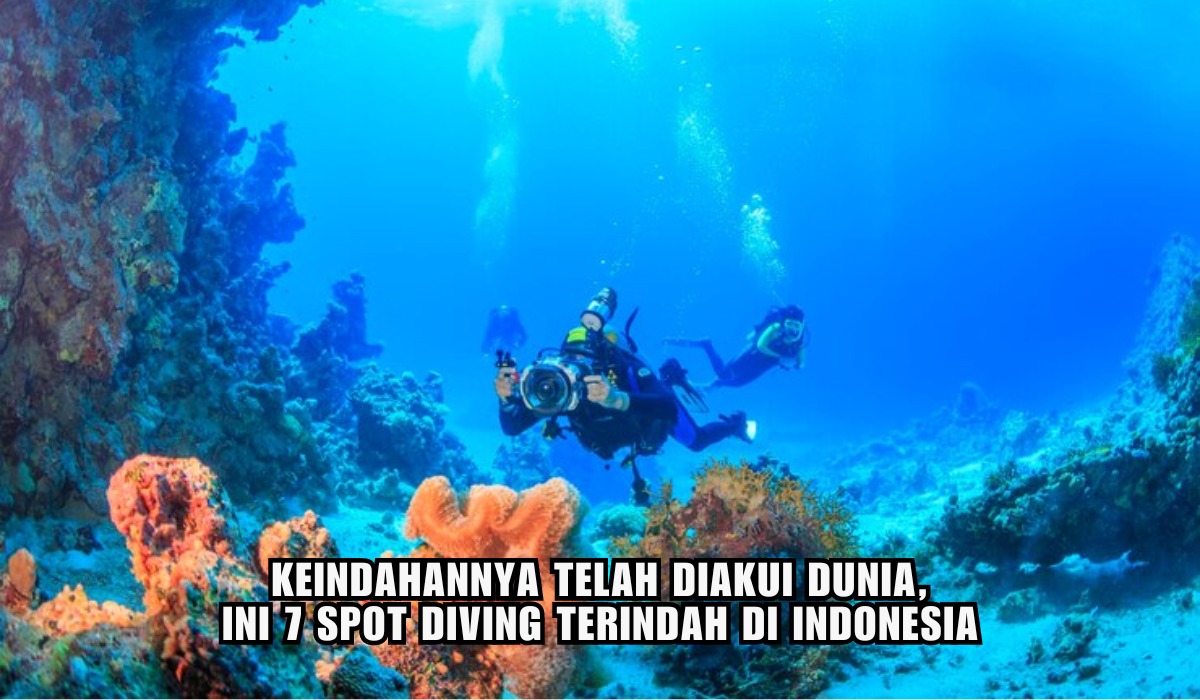 Dunia Mengakui Keindahannya, Ini 7 Spot Diving Terbaik di Indonesia, Bikin Betah di Bawah Laut!