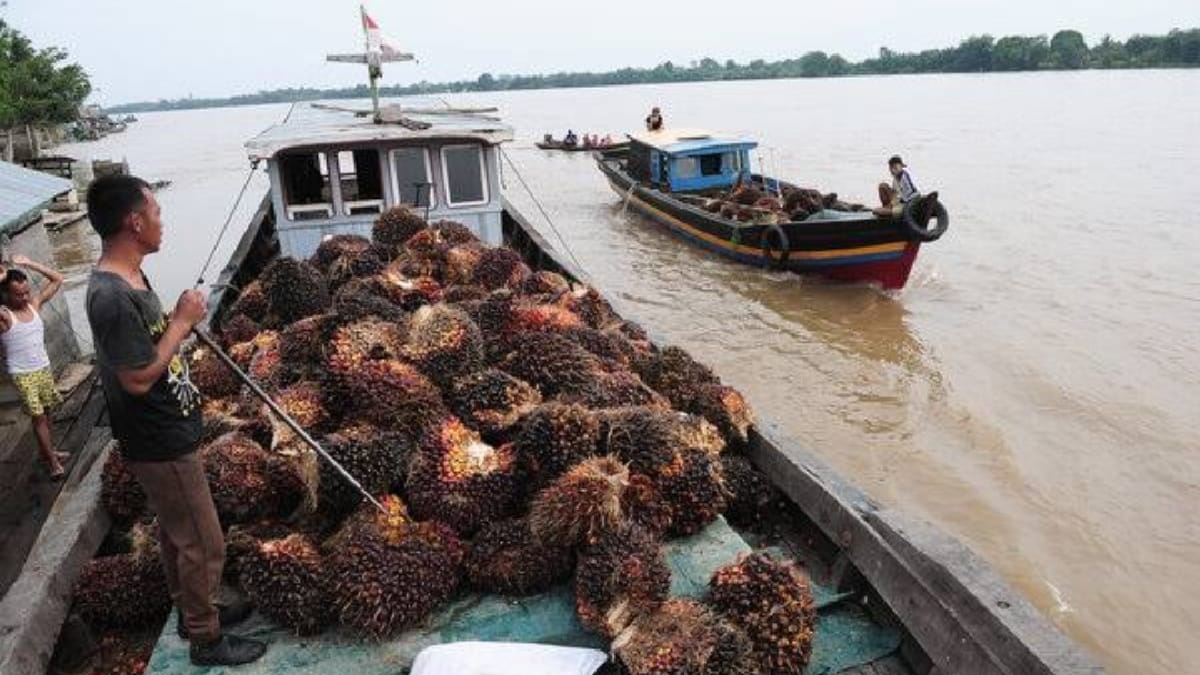 Kapal Sawit di Sungai Menang OKI Dirompak 30 Orang, Total Sebanyak 4,9 Ton TBS Raib Baru 2 Pelaku Ditangkap