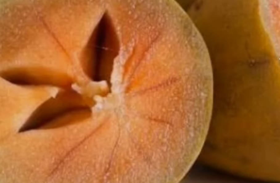 Ternyata Buah Sawo Bisa Bikin Kulit Kinclong, yuk Simak Manfaat Lainnya