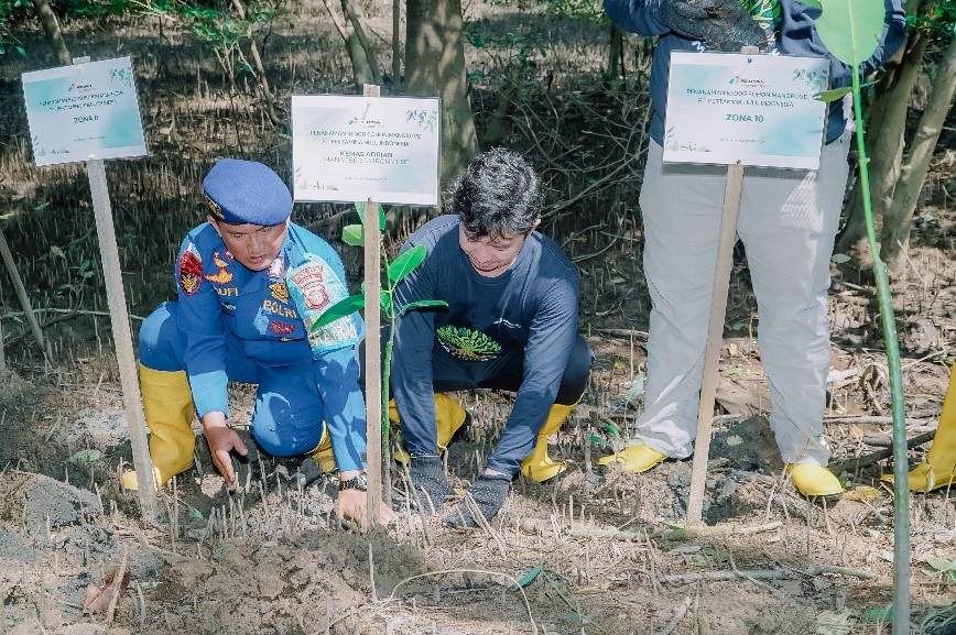 118.463 Bibit Pohon Berhasil Ditanam Grup Pertamina Hulu Indonesia Sepanjang 2024