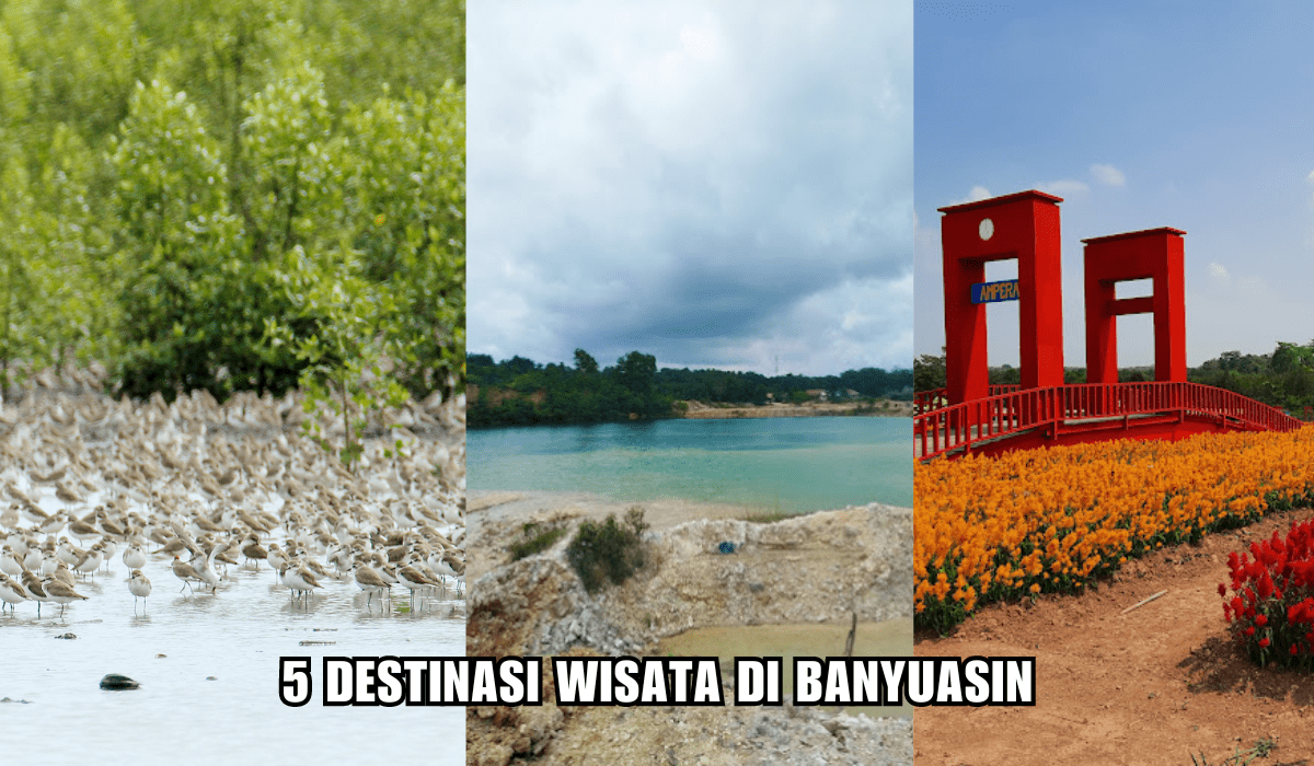 Bak Surga Tersembunyi, Ini 5 Destinasi Wisata di Banyuasin, Nomor 1 Diakui UNESCO Sebagai Cagar Biosfer Dunia