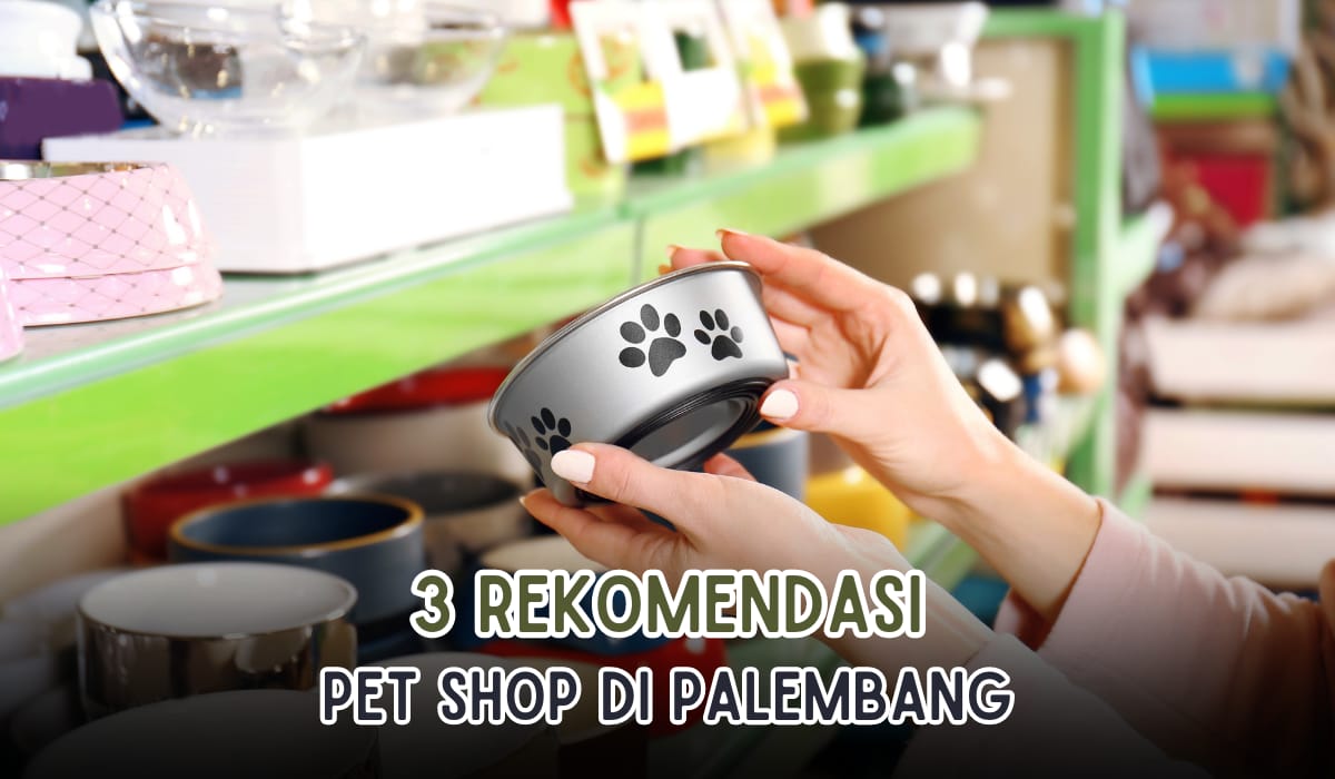 3 Pet Shop Terlengkap yang Ada di Palembang, Harga Gak Akan Nguras Kantong Lho!