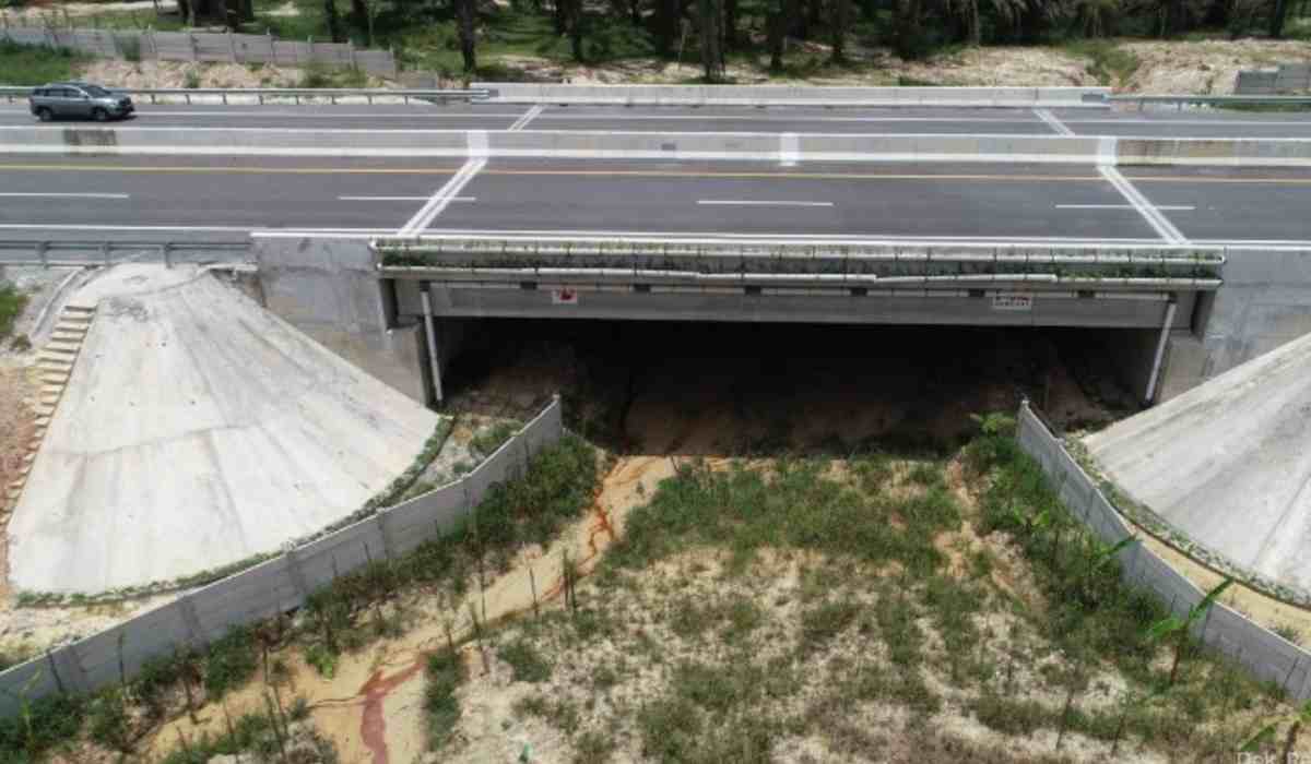 Terapkan Konsep Ini, HK Wujudkan JTTS Jadi Tol Hijau dan Ramah Lingkungan 