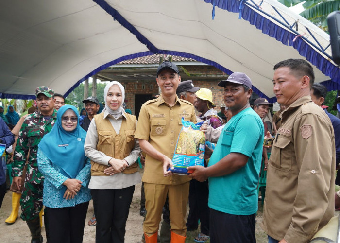 Bupati OKI Salurkan 142 Ribu Kg Benih Padi untuk Pulihkan Sawah Terdampak Banjir
