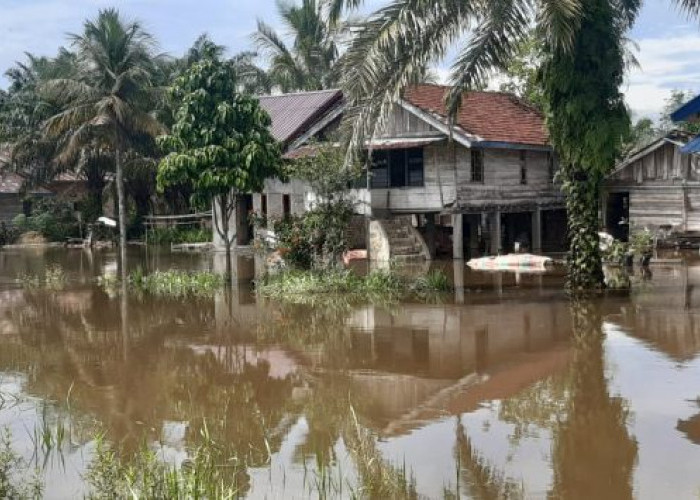 Desa Bukit Langkap Muratara Banjir Luapan Anak Sungai
