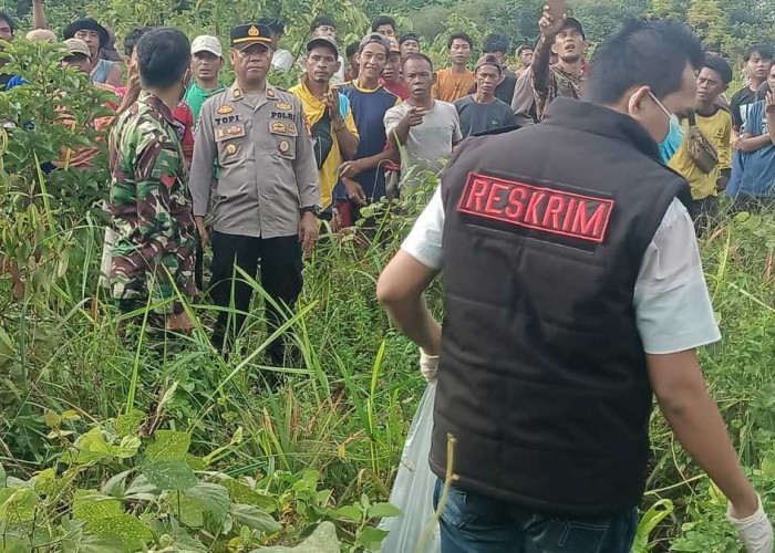 TERUNGKAP! Ternyata Ini Motif Pria di Pemulutan Nekat Habisi Nyawa Teman Akrab di Kebun Nanas Lembak