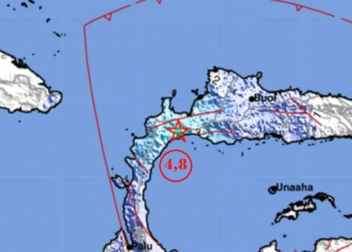Gempa Magnitudo 4,8 Pagi Ini Guncang Parigi Moutong, Cek Disini Titik Episentrum dan Kedalamannya 