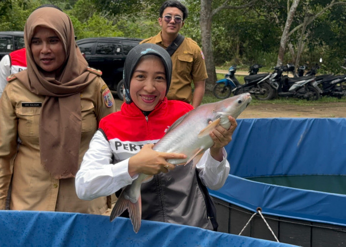 Baru dan Pertama di Sumsel, Kawasan Perikanan Terintegrasi Ada di Sungai Gerong