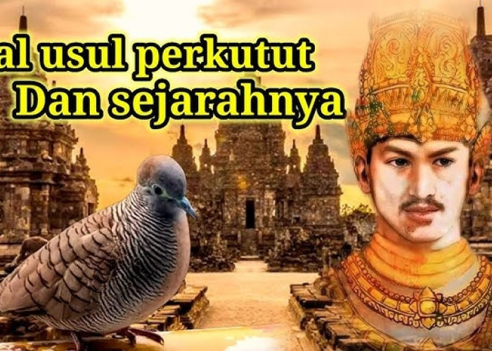 Benarkah Burung Perkutut Berbau Mistis? Ini Penjelasan Asal Usul dan Sejarah Lengkapnya