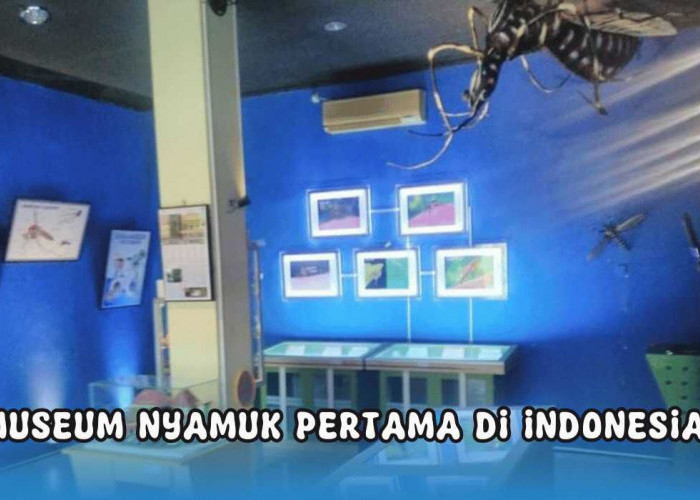 Museum Nyamuk Pangandaran Jadi Referensi Kunjungan Wisata Edukasi Bersama Muridmu, Nih Lokasinya!