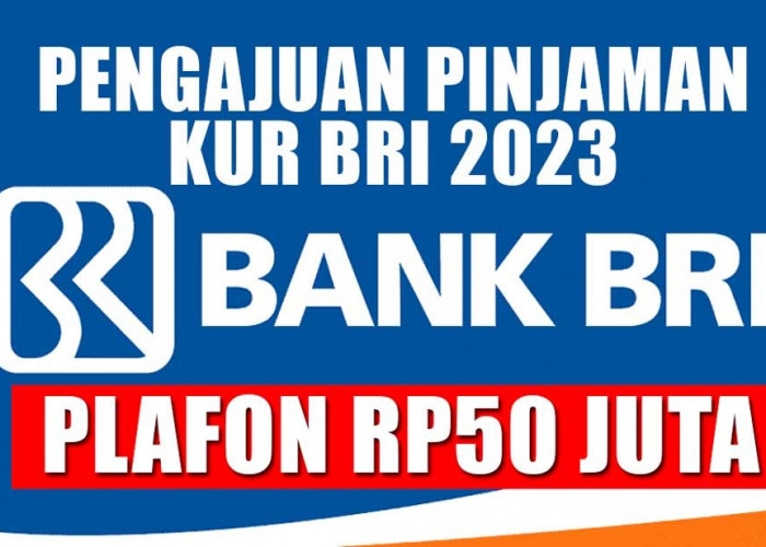 Trik Lolos Survei Saat Pengajuan Pinjaman KUR BRI 2023 Plafon Rp50 Juta, Peluang ACC Lebih Besar! 