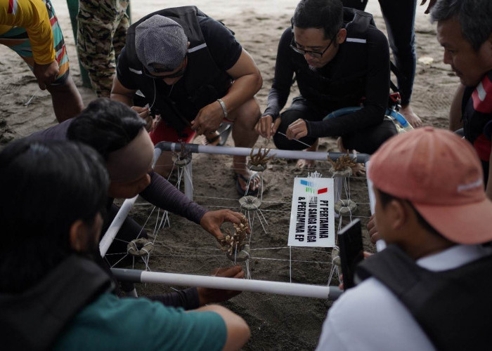 Gandeng Komunitas Terumbu Karang, Pertamina Hulu Indonesia Lakukan Ini di Banyuwangi