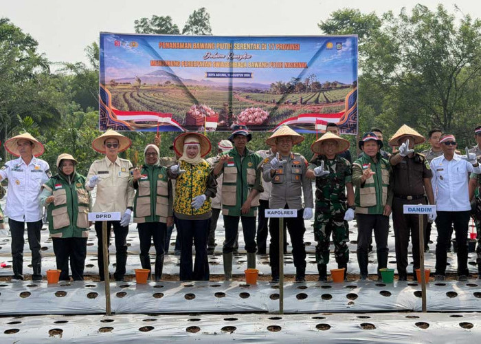 Dandim Letkol Inf David Jihandika Bersama Forkopimda Tanam Bawang Putih Serentak di Lahat