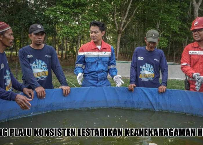 Industri Tetap Green! Intip Langkah Keren Kilang Plaju Lestarikan Rusa Sambar hingga Ikan Belida
