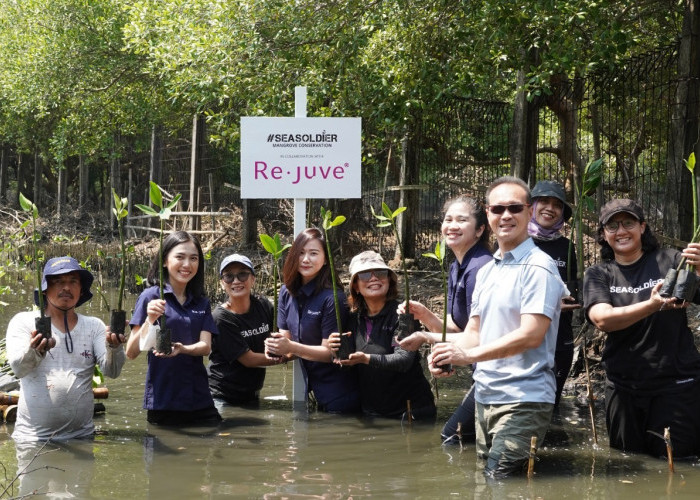 Re.juve Tanam 2.500 Bibit Mangrove Bersama Seasoldier