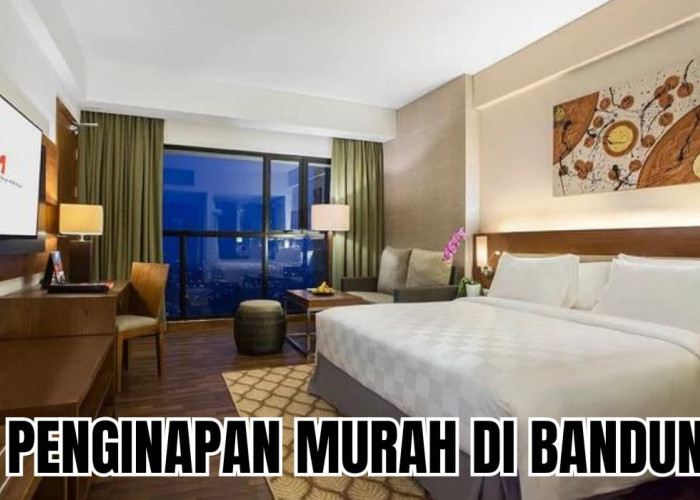 Cocok untuk Liburan, Ini 5 Penginapan Murah di Bandung, Tarif Kamar Rp100 Ribuan