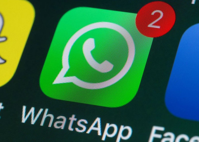 Besok Long Weekend, Ini 3 Cara Mudah WhatsApp Terlihat Offline Padahal Online, Biar Gak Ada yang Ganggu
