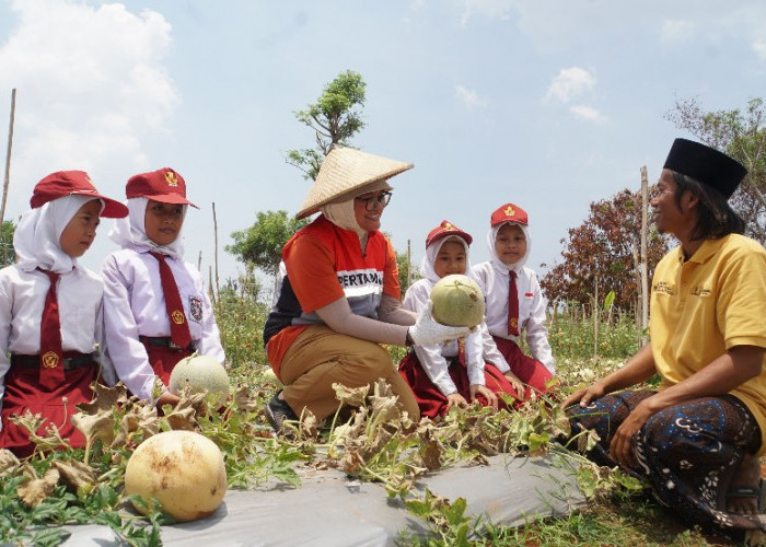 Begini Cara PHE WMO Mengatasi Lahan Kritis di Pesisir Bangkalan