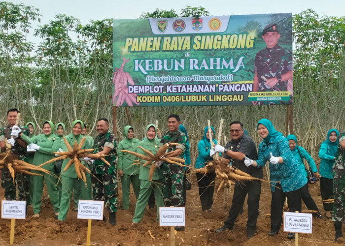 Pandam II Sriwijaya Mayjen TNI M Naudi Nurdika dan Pj Wako Lubuklinggau H Trisko Defriyansa Panen Singkong