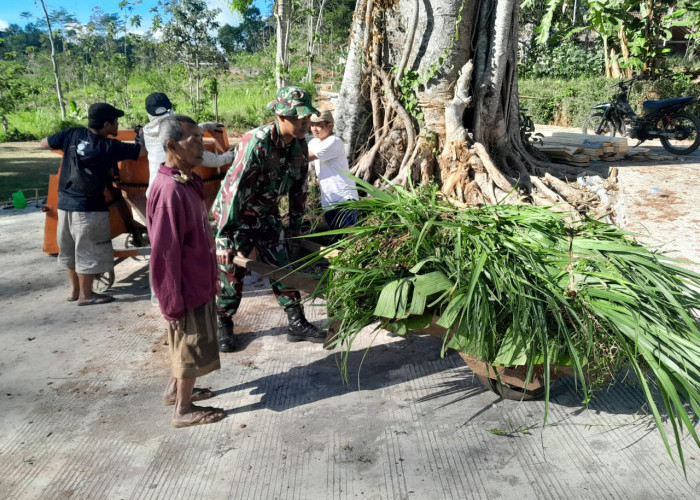 Momen Haru TMMD Semarang: Anggota TNI Bantu Mbah Warno (82) Dorong Gerobak Rumput demi Sambung Hidup