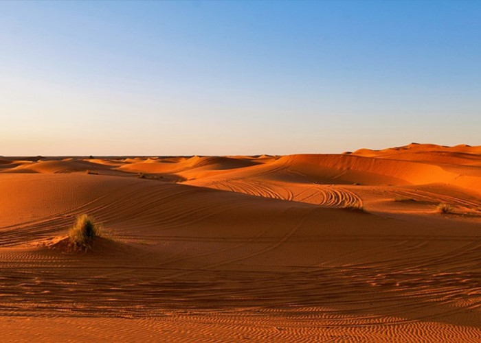 Ribuan Tahun Gersang, Gurun Sahara Dilaporkan Menghijau, Ini Kata NASA