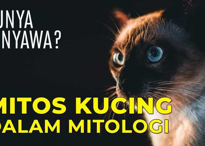 Mengungkap 5 Mitos Kucing dalam Mitologi yang Mencengangkan, Apa Saja?